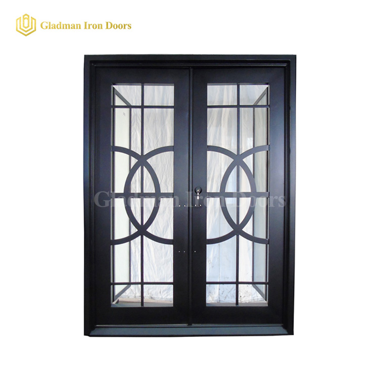 Double Aluminum Storm Doors Design W/ Across Circles