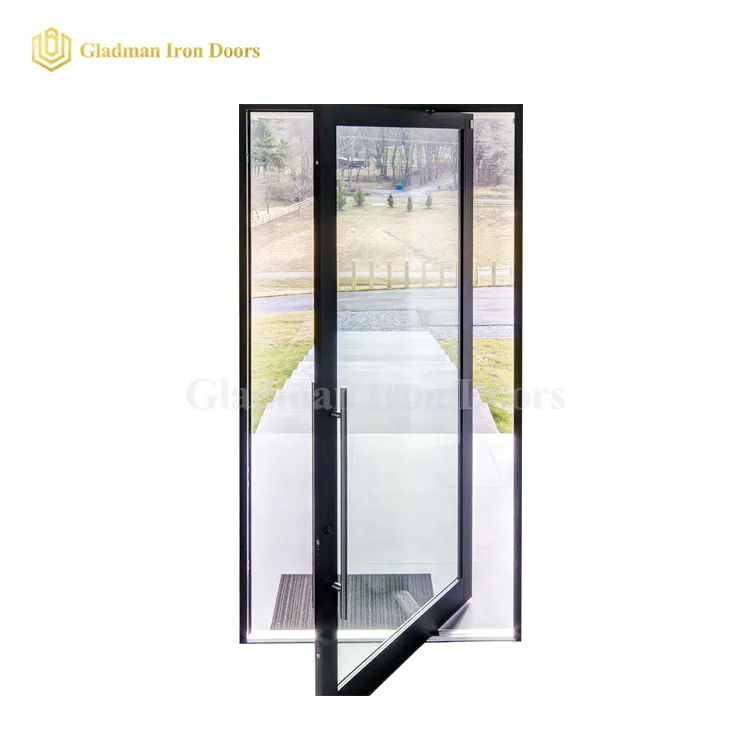 Popular Single Pivot Door With Clear Double Panels Glass /Anti-rusting/ Coal-Matte Black/Iron Materials