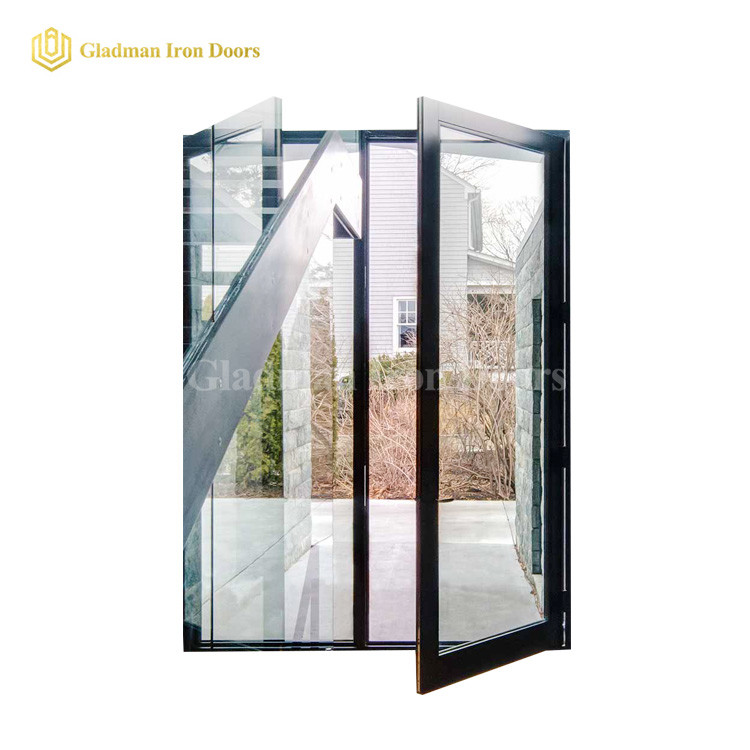 Hot Sales Double Pivot Door With Low-E Tempered Glass /Anti-rusting /Coal-Matte Black/Iron Materials