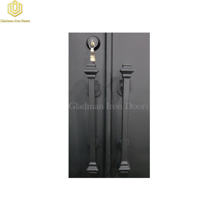 Gladman modern style double front doors wholesale for outdoor-2