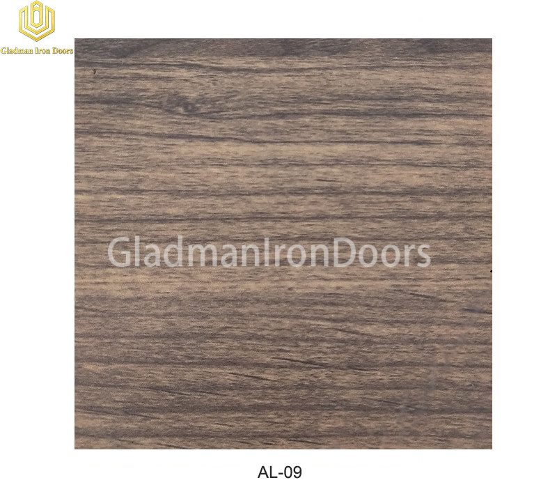 Aluminum Exterior Door Hardware AL-09 Option