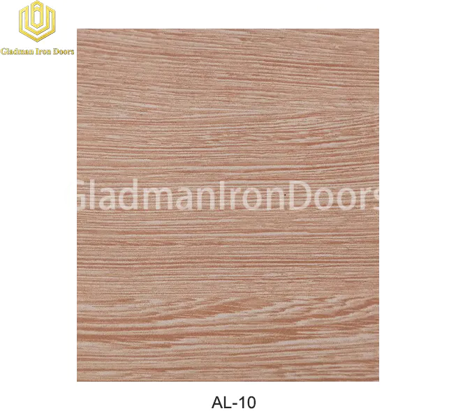 Aluminum Exterior Door Hardware AL-10 Option