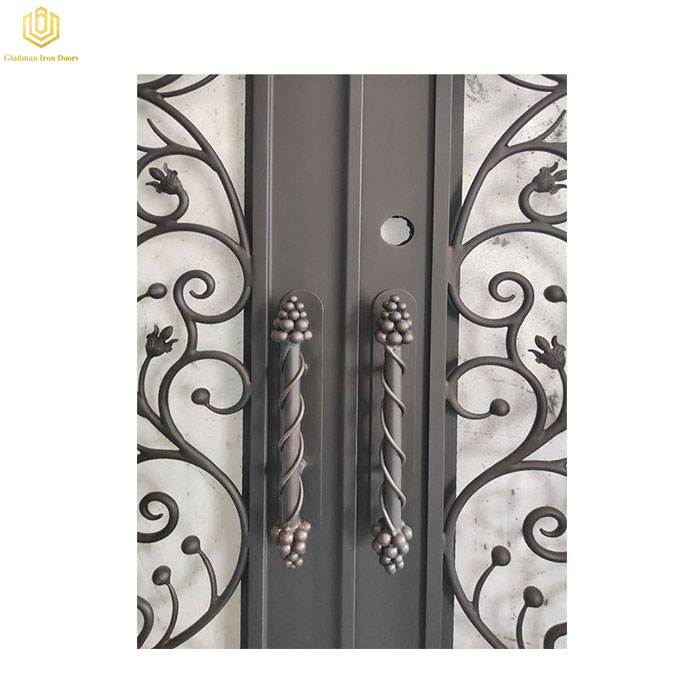 modern style iron double door design one-stop services for home-2